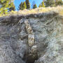 A cream-colored band of rock above an old mine shaft in a Montana hillside.