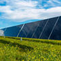 Row of installed First Solar thin-film solar panels in field with flowers.