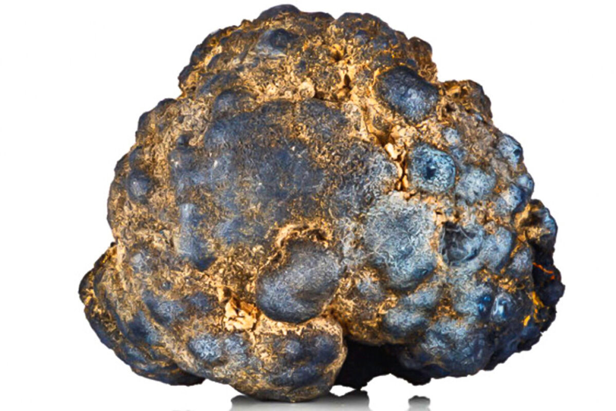 Large potato-sized nodule enriched with metals needed for lithium-ion batteries.