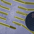 A rendering of the nano-sized CrSBr crystals developed at Columbia University.