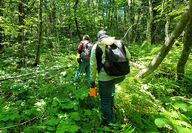 University of Maine geologists hike through the forest at Pennington Mountain.