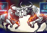 Bulls representing vanadium and lithium charging each other.