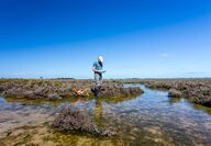 A man surveys a tidal habitat in Australian wilderness.