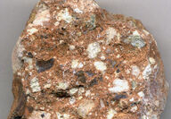 A breccia-style rock that shows varied types of rocks within.