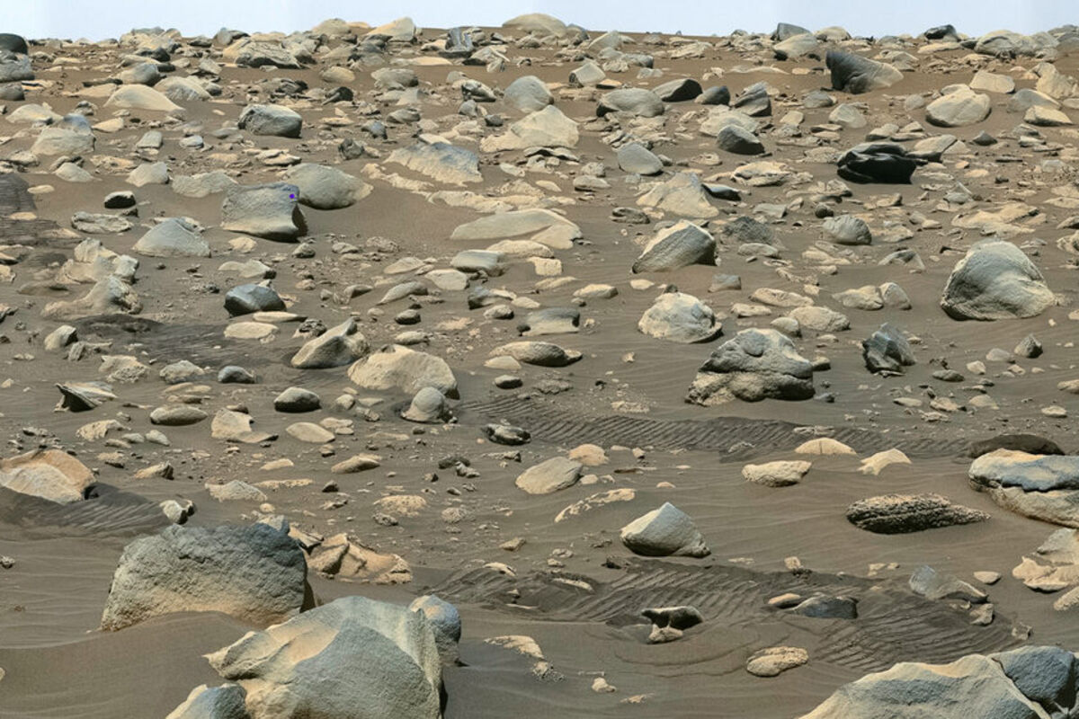 A field of boulders deposited by an ancient river on Mars.