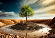 A barren landscape with a tree growing at its center,
