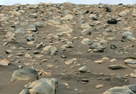 A field of boulders deposited by an ancient river on Mars.