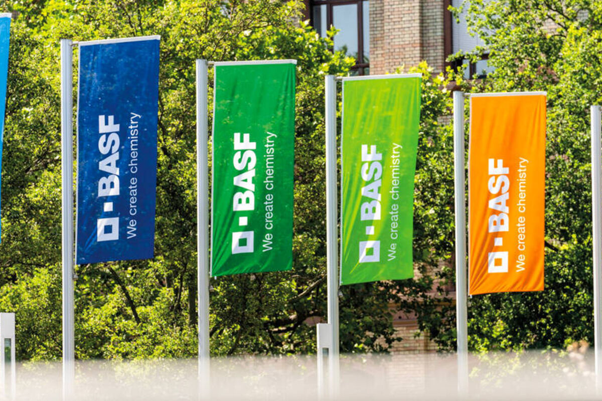 BASF flags flying in front of the company’s Ludwigshafen site in Germany.