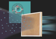 Graphene Composites air filter COVID coronavirus nanomaterials Omicron variant