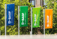 BASF flags flying in front of the company’s Ludwigshafen site in Germany.