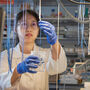 Researcher inspects strings wicking lithium and salts from a beaker of brine.