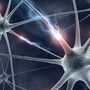 A 3D rending of neurons firing through the brain.