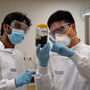 Two GMG researchers examining graphene for its graphene batteries.